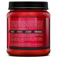 Creatine Monohydrate x 309 gr (BSN)