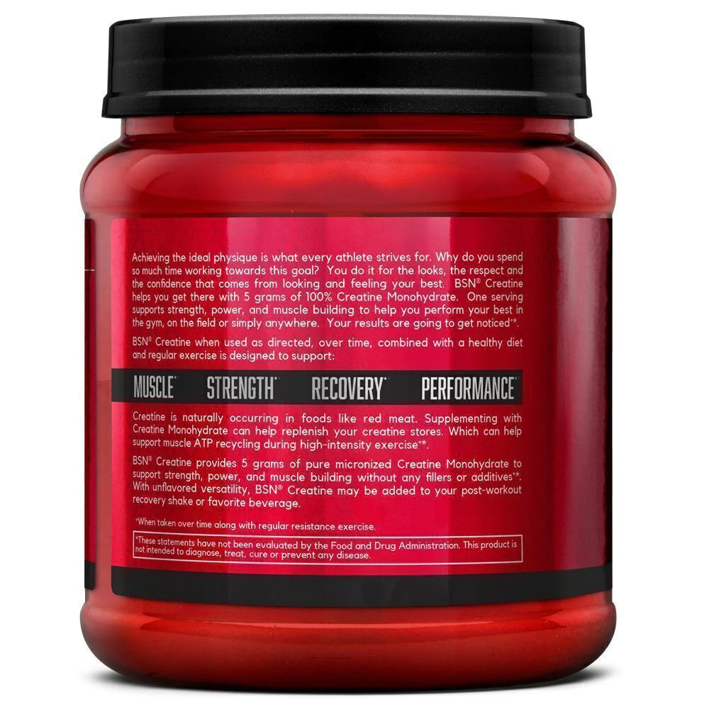 Creatine Monohydrate x 309 gr (BSN)